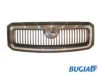 BUGIAD BSP20171 Radiator Grille